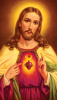 Sacred Heart Prayer for Gratitude Holy Card